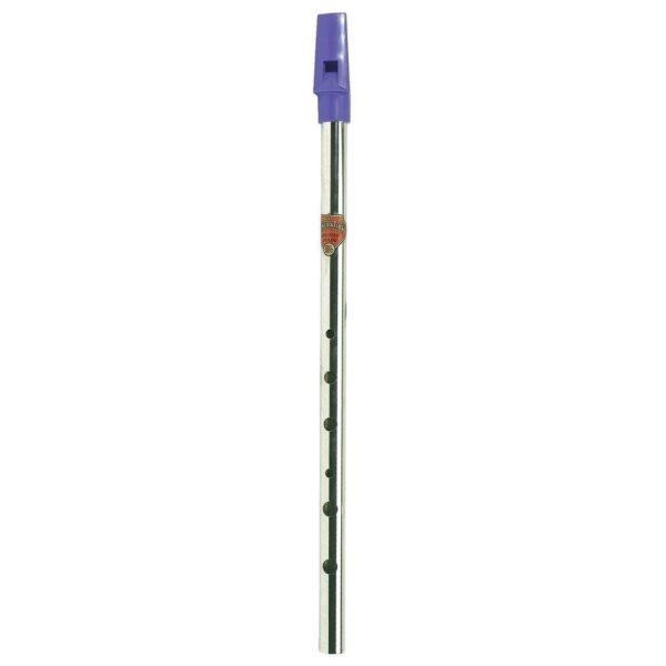 Generation-Flageolet-Fluit-Nikkel–F-Yet-Music-Sound
