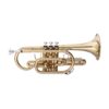 stagg-cornet-ws-215-yet-music