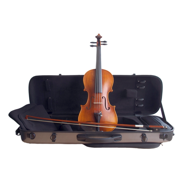Stentor-Viool-Arcadia-Pro-Series-Handmade-Yet-Music-Sound