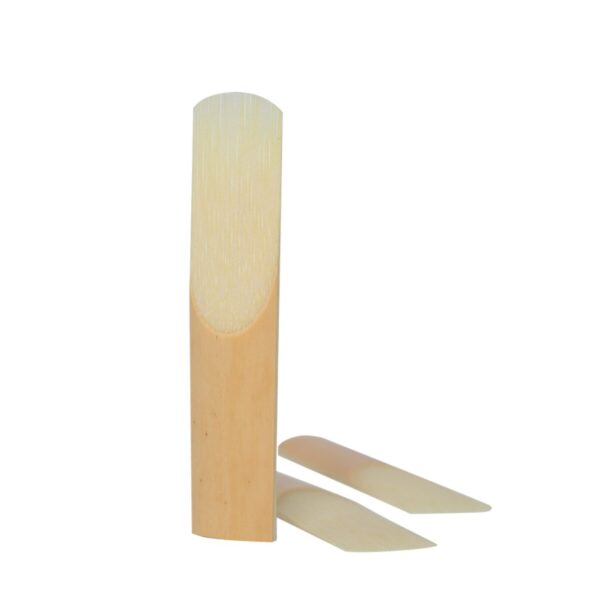 stagg-sopraan-saxofoon-rieten-rd-ss-yet-music-sound-1