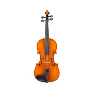 Strijkinstrumenten
