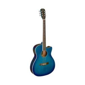 james-neligan-gitaar-bes-ace-blauw-yet-music-sound
