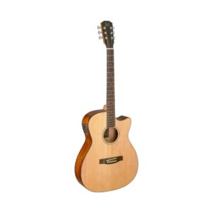 Snaarinstrumenten