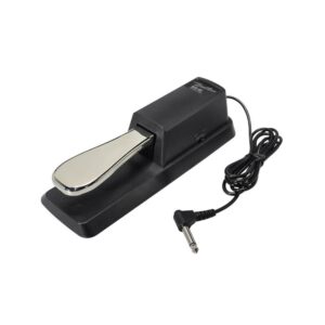 boston-sustain-pedaal-bfs-40-Yet-Music-Sound
