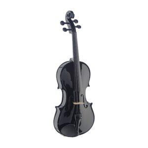 stagg-viool-vn-4-4-zwart-yet-music-sound