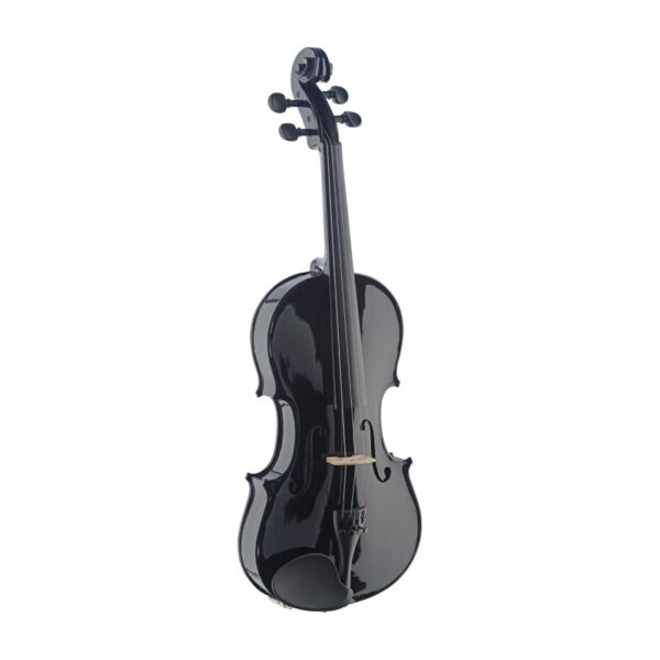 stagg-viool-vn-4-4-zwart-yet-music-sound