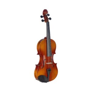 stagg-viool-vn-4-4-l-Yet-Music-Sound